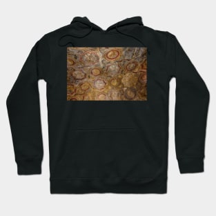 Stabian Baths - Decorative Ceiling - Pompeii Hoodie